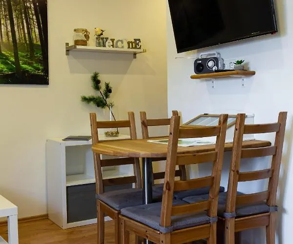 Am Goethepark Im Leipziger Neuseenland شقة لبسيا