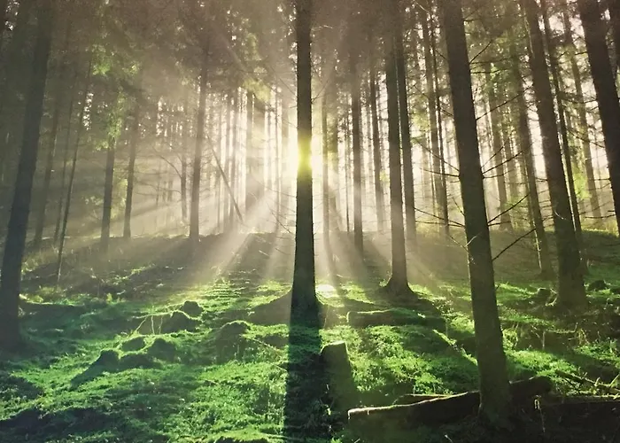 شقة Am Goethepark Im Leipziger Neuseenland لبسيا